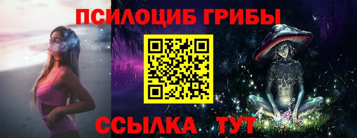 Псилоцибиновые грибы ЛСД  Псилоцибиновые грибы ЛСД  купить наркоту  Вход с VPN  Уссурийск 